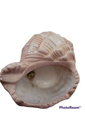 Ceramic Conch Seashell Home Decor Sea Shell Planter Trinket  White Tan
